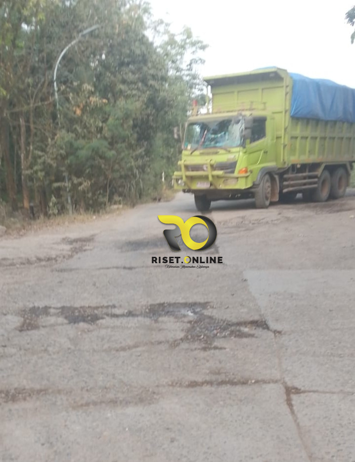 Jalan Rusak Akibat Angkutan Batu Bara di Pali Sering Picu Kecelakaan, LSM Desak Dishub Turun Tangan